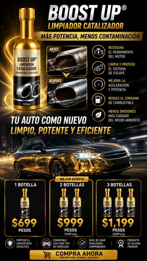 Boost Up® Limpiador catalizador para auto