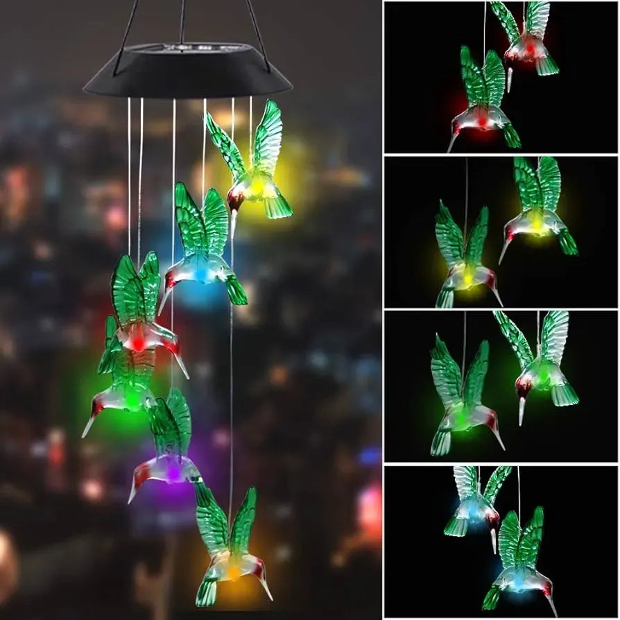 Sonajero de Colibrí led Solar Z6