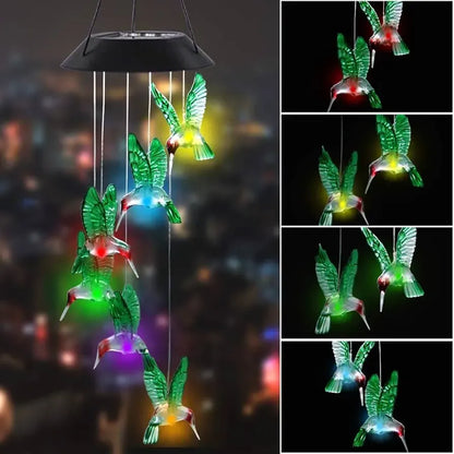 Sonajero de Colibrí led Solar Z6