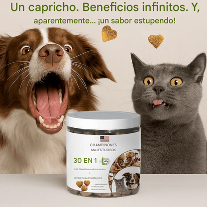 Majestic Mushrooms™  30 en 1